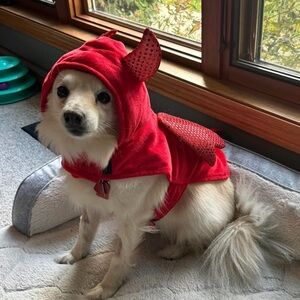 Woof Red Devil Dog Costume sequined horns and wings, Medium